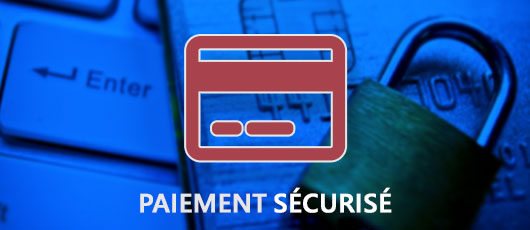 Paiement en ligne sécurisé